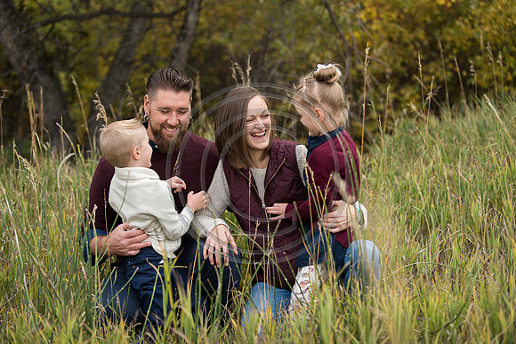 Hemming_F067