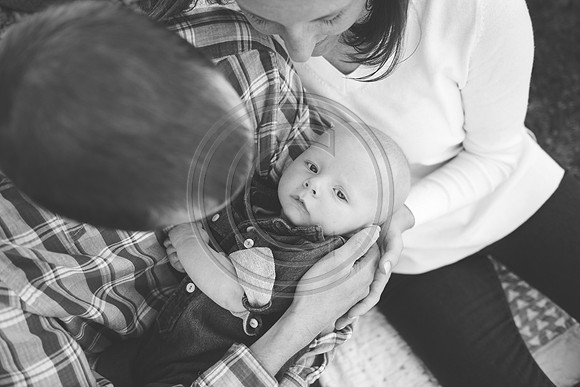 Reindl_F027