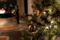 Holiday Party, web format NO WM