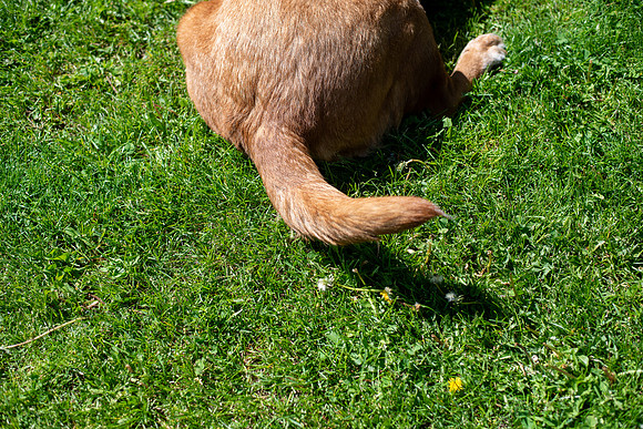 Callahan_052