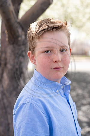 Reynolds_041