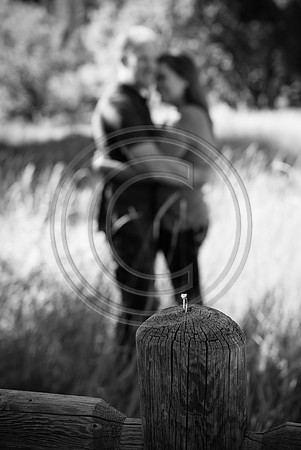 Fanning-Morrow_F035