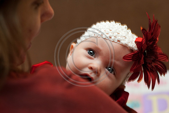 Dribus_Hannah_12242009_home_068