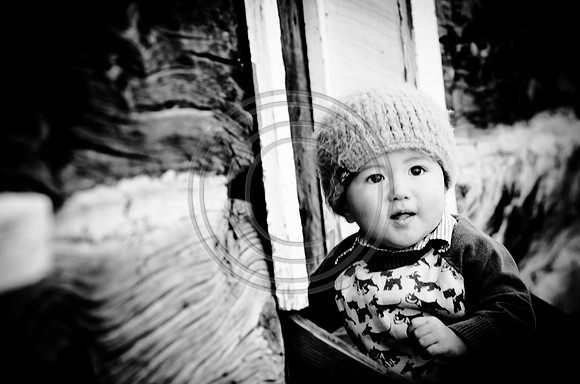 Suh_F084-2012