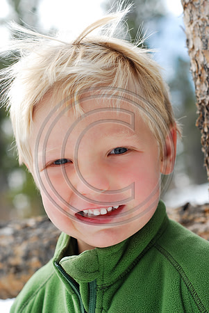 Boehnert_F001