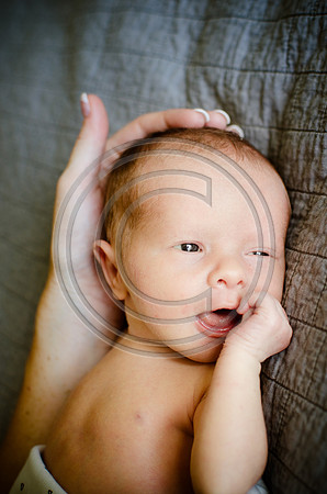 McNaughton_F085