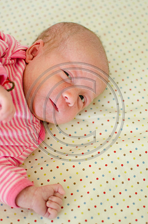 Young_F0016