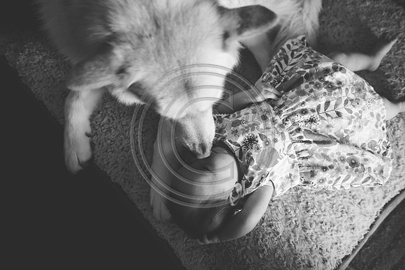 Fox_F077