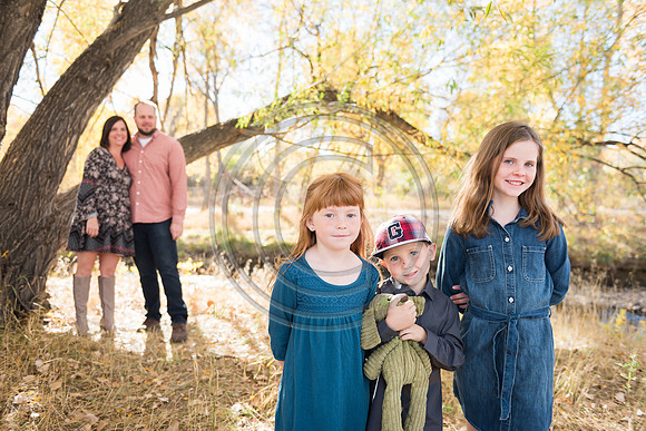 Johnson-F077