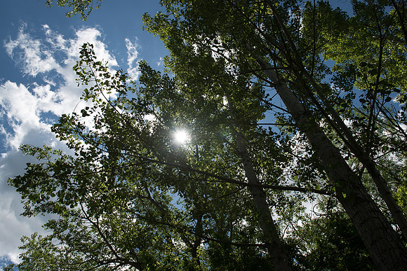 DSC_0588-LR