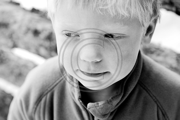 Boehnert_F009