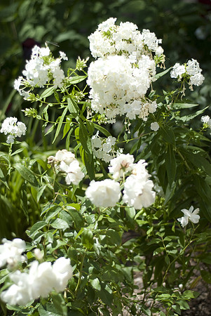 190high_D0010