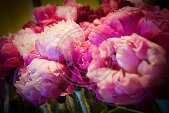 Gieck Wedding-1014