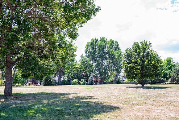 DSC_2841-LR