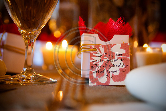 Gieck Wedding-6014