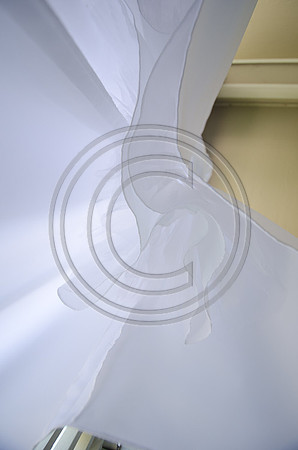 Guyer_F0008