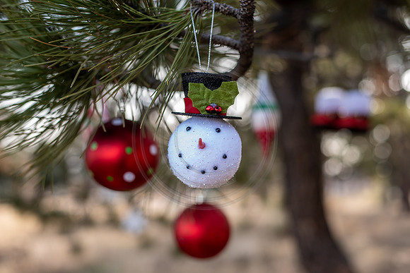 Ricca_078