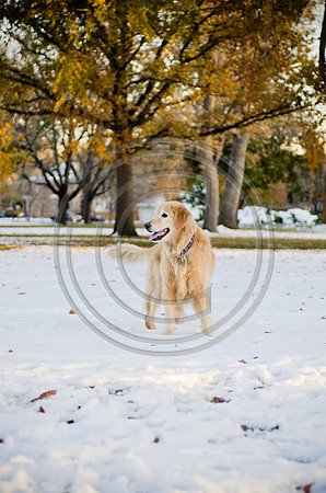 Kiley_F063