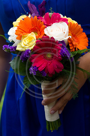 Reed_F00480