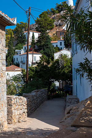 C01_3726