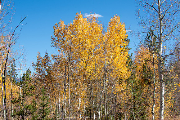 CET_Summit_010