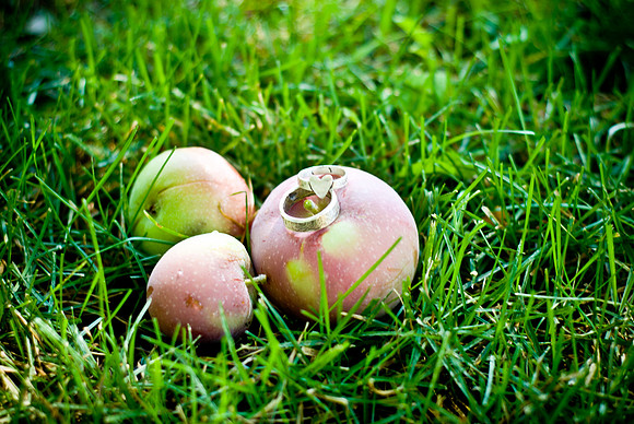 Mohseni_F00004