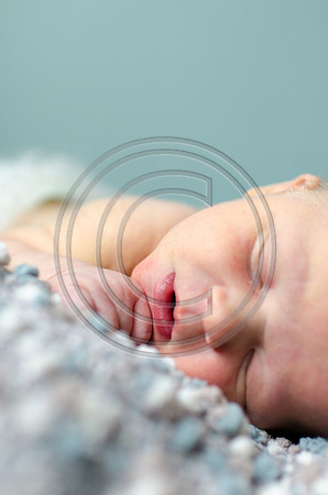 Brinkley_F093