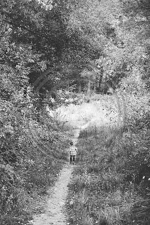 Schroeder_F039