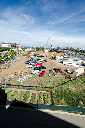 6380Fidlers_F056