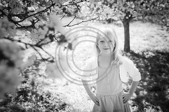 Pyka_F007