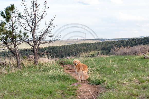 Kellogg_089