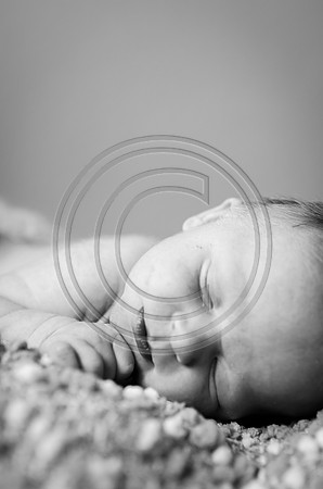 Brinkley_F092