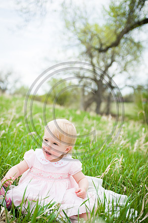 Johnson_F067