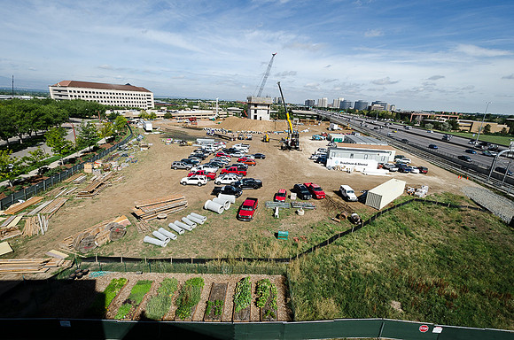 6380Fidlers_F055