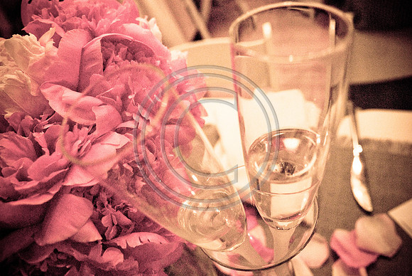 Gieck Wedding-6007