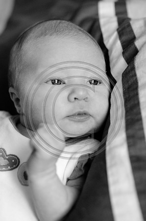 Sonneman_F0117