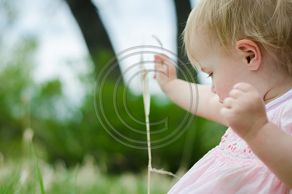 Johnson_F073