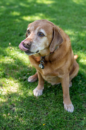 Callahan_005