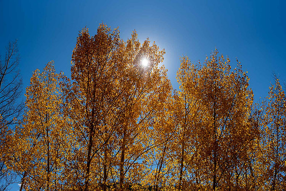 CET_Summit_014