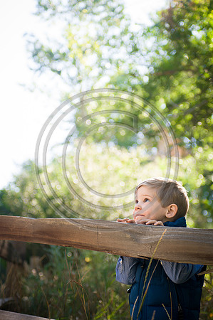 Morrison_F010