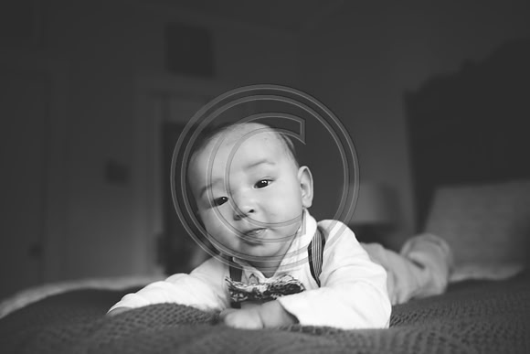 Zanone_F028