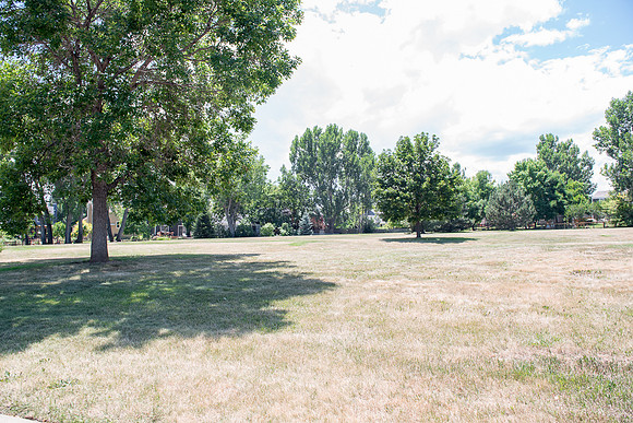 DSC_2842-LR
