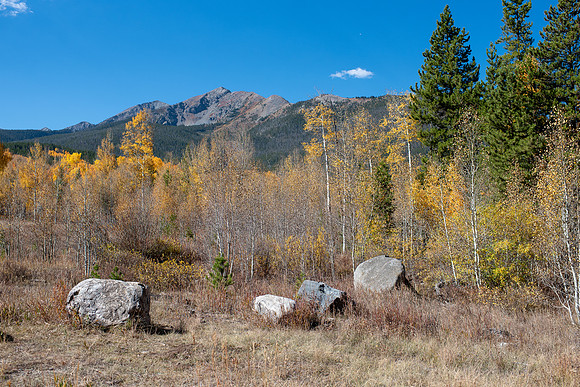 CET_Summit_004