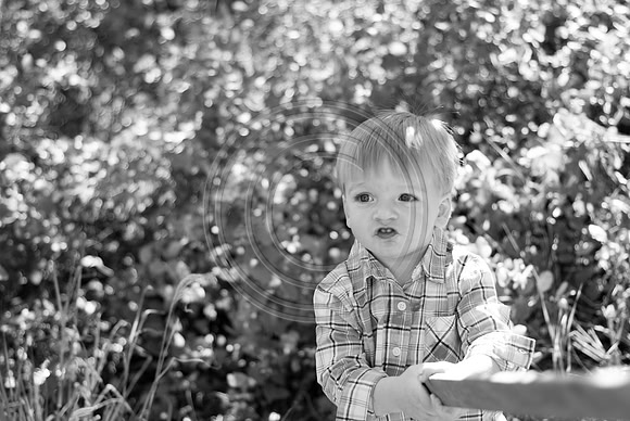Schell_F0023