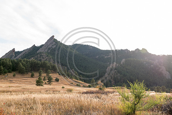 Loeffler_F087-LR