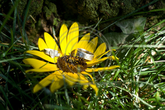 Mohseni_F00008