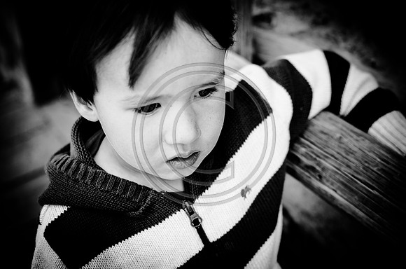 Suh_F005-2012