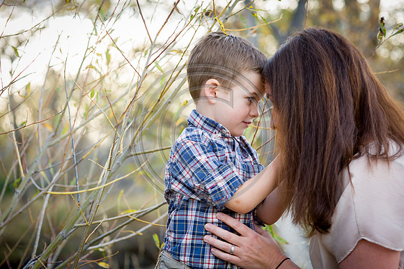 Hess_F074