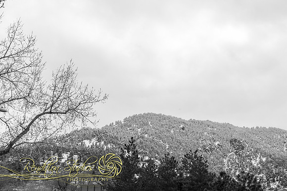 Pease_F003-LR