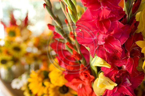 Mohseni_F00001